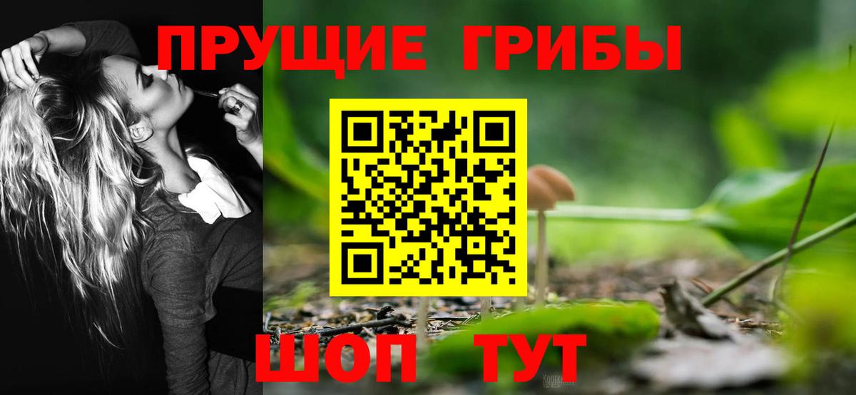 Галлюциногенные грибы Cubensis Апатиты